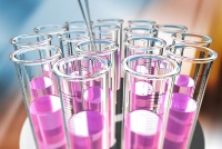 КОНСЕРВАНТЫ